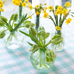 Clear Glass Bud Vase - 8cm | Home Decor Gifts |