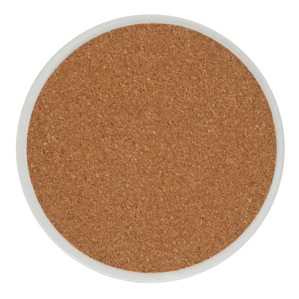 Autumnal Fruit Coasters - 20 Pack Display | Autumn Decor |