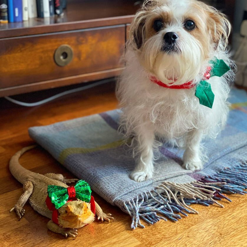 Christmas Entertainment Pooch Bow Tie