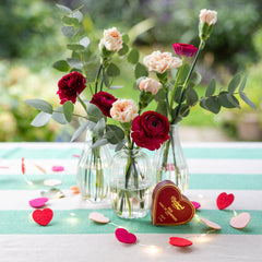 Clear Glass Bud Vase - 12cm | Home Decor Gifts |