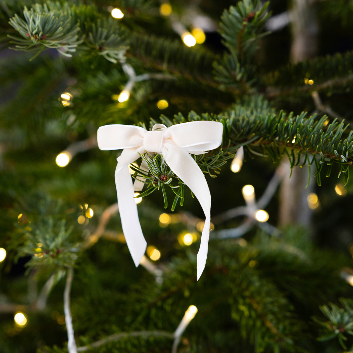 Green & Cream Velvet Bows - 8 Pack | Christmas Decor |