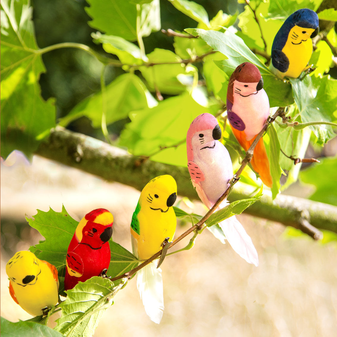 Carnival Fiesta Tropical Birds | Summer Party Decor |