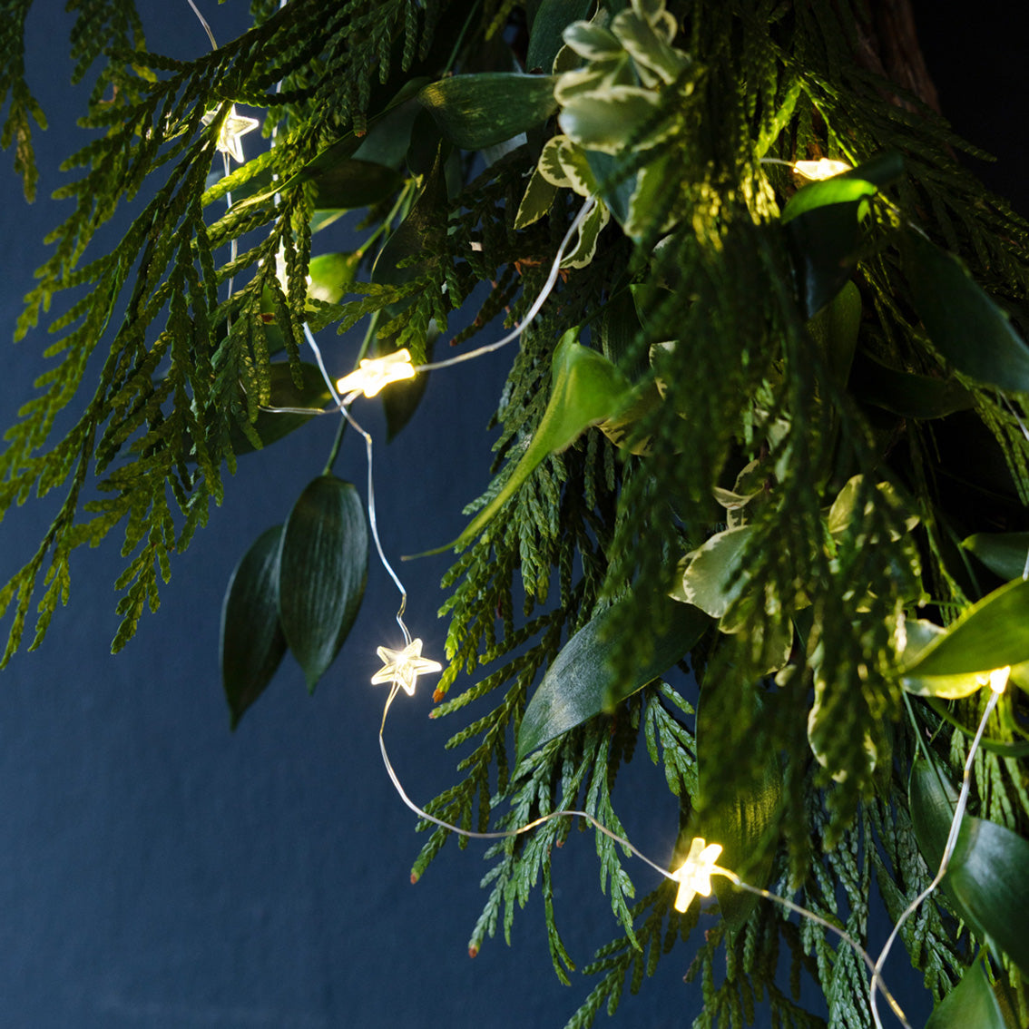 Gilded Star String Lights - 3m | Christmas Lights |