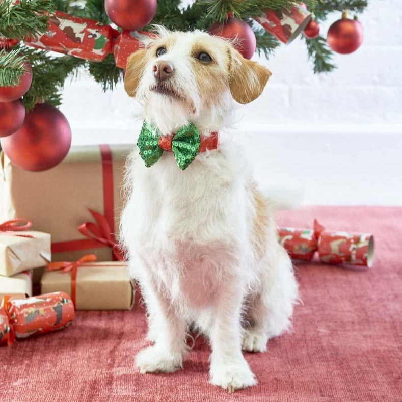 Christmas Entertainment Pooch Bow Tie