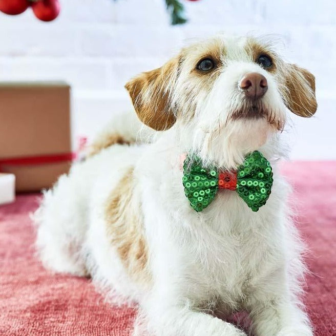 Christmas Entertainment Pooch Bow Tie