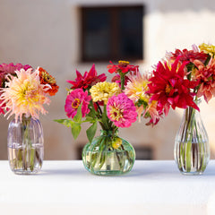 Clear Glass Bud Vase - 14cm | Home Decor Gifts |